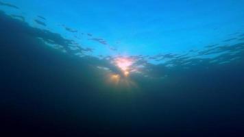 escena submarina de la puesta del sol