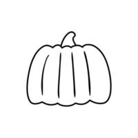 Pumpkin outline illustration. Element for autumn decorative design vector