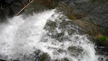 cascades d'eau douce calmes au ralenti