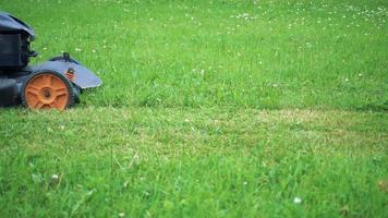 close-up in slow motion van een maaier die gras maait video