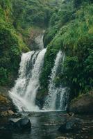 vista de la cascada en el medio del bosque foto