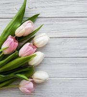 tulipanes de primavera rosa foto