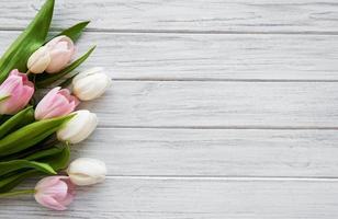 Pink spring tulips photo