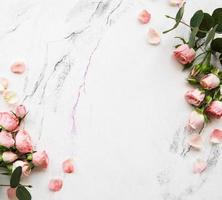 Holiday background with pink roses photo