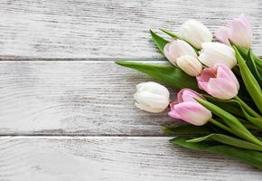 Pink spring tulips photo