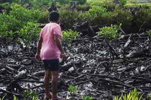 Mujer local de pie en el bosque de manglares que han sido cortados y quemados. foto