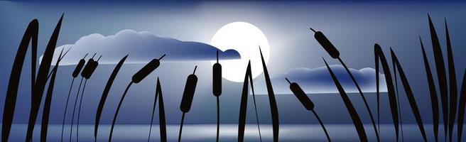 Night panoramic landscape of reeds on the background of the sunset vector