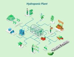 Farmers grow hydroponic vegetables and sell vector