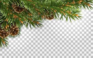 Corner frame of evergreen spruce branches, pine cones and snowflakes. For Christmas decorations and greeting card designs. Isolated on a transparent background. Realistic vector illustration.