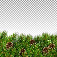 Bottom border of evergreen spruce branches, pine cones and snowflakes. For Christmas decorations and greeting card designs. Isolated on a transparent background. Realistic vector illustration.