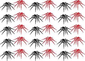 spider pattern collection vector