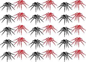 spider pattern collection vector