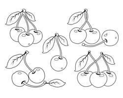 Vector colorless cherry set outline contour.