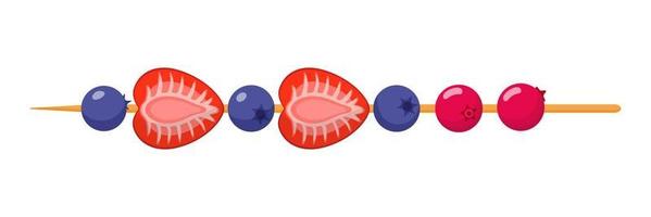 Canapé de frutas en brocheta de madera. fresa, arándano y arándano. vector