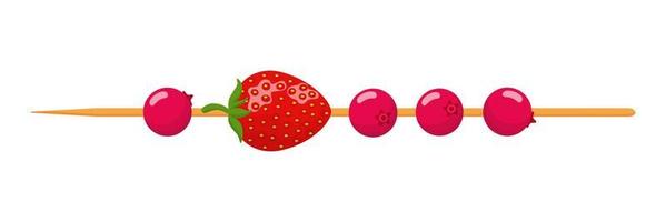 Fruit canape on wooden skewer. Strawberry and cranberry. vector