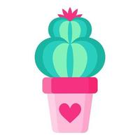 Pink flower pot with cactus or succulent with flower