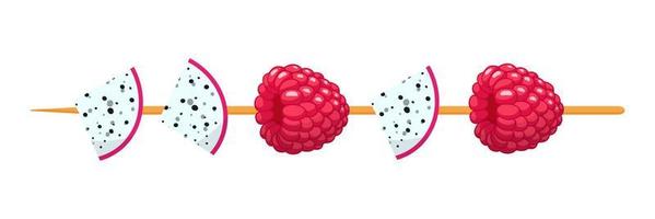Fruit canape on wooden skewer. Raspberry and dragonfruit. vector