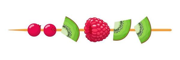 Fruit canape on wooden skewer. Cranberry, kiwifruit and raspberry. vector