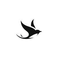 swallow vector design