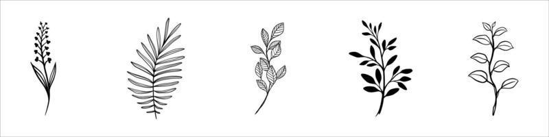 Continuous Line Drawing Set Of Plants Black Sketch of Flowers Isolated on White Background. Flowers One Line Illustration vector