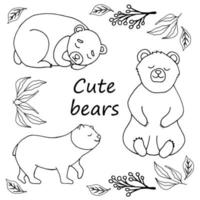 Set of bears design elements vector