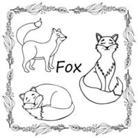 Set of foxes design elements vector