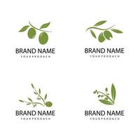 olive icon vector illustration design template