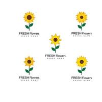 Sunflower logo icon vector illustration