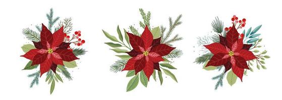 Christmas set with Poinsettia Flowers and Christmas Floral Elements vector