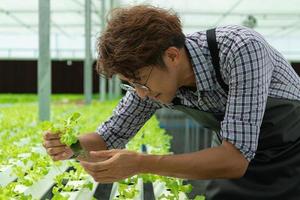 una nueva generación de jóvenes asiáticos con negocios de vegetales orgánicos