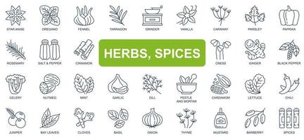 Herbs, spices concept simple line icons set. Bundle of star anise, oregano, vanilla, paprika, rosemary, salt, pepper, cinnamon and other. Vector pack outline symbols for website or mobile app design