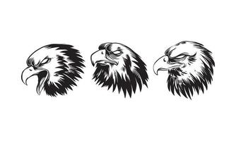 Set of Hand drawn illustration of a dashing eagle head vector