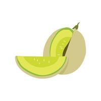 melón fresco en rodajas. la colección de ilustraciones de frutas tropicales en diseño vectorial. comida sana, jugosa y dulce. Animación de frutas coloridas aislado sobre fondo blanco. vector