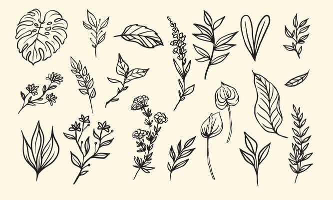 plant and flower composition for decoration frame, simple hand drawn leaves lineart illustration, floral vector elements for romantic and vintage design