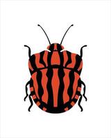 graphosoma italicum. ilustración vectorial plana de errores. insectos y concepto de jardín animados en tema colorido. Ilustración de dibujos animados de la naturaleza aislada sobre fondo blanco. vector