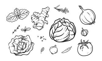 conjunto de verduras, frutas y especias dibujadas a mano ilustración vectorial. comida sana dibujada con arte lineal para diseño de materiales