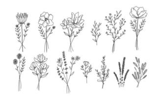 set of hand drawn floral elements for your design, leaf and flowers illustration to create romantic or vintage design, plant isolated graphic very easy add to your design project vector