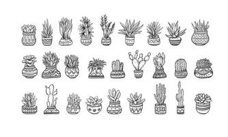 conjunto de ilustración de flores en macetas dibujadas a mano, elementos gráficos aislados de plantas para su diseño, ilustración de hojas y flores para crear un diseño romántico o vintage vector