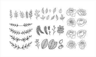 set of hand drawn floral elements for your design, leaf and flowers illustration to create romantic or vintage design, plant isolated graphic very easy add to your design project vector