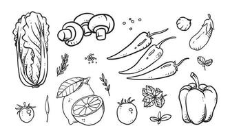 Set of vegetable, fruit and spices hand drawn vector illustration. Healthy food drawn with line art for material design