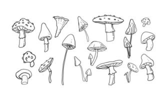 colección de ilustraciones de varios hongos en arte lineal. dibujos animados de doodle dibujados a mano ilustrados con una línea simple. conjunto de elementos aislado sobre fondo blanco. vector