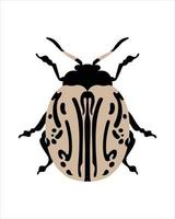 calligrapha multipunctata. flat vector illustration of bugs. insects and garden concept animated in colorful theme. cartoon illustration of nature isolated on white background.