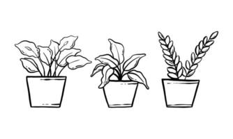 Ilustración de dibujado a mano de planta de interior. arte de línea vectorial del conjunto de colección de plantas caseras en macetas. planta floral aislada sobre fondo blanco. vector