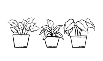 houseplant hand drawn illustration. vector line art of the potted home plant collection set. floral plant isolated on white background.
