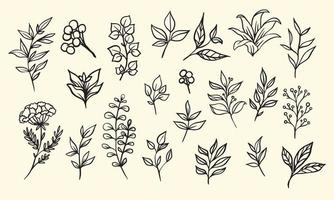 set of hand drawn leaf vector illustration, flower lineart isolated graphic elements for your design, floral lineart for classic design