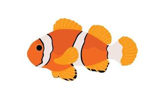pez payaso naranja. conjunto de colección de ilustración de peces de coral. el dibujo a mano de la vida submarina. animación vectorial dibujada a mano. adorables y hermosos peces de la vida marina. vector