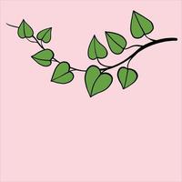 simplicity ivy freehand drawing flat design. vector