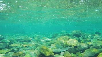 eau de rivière propre et limpide au ralenti et rochers au québec, canada video