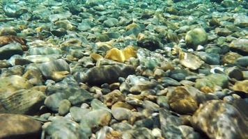 slow motion helder vers schoon rivierwater en rotsen in quebec, canada