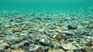 Cámara lenta límpida agua de río limpia y fresca y rocas en Quebec, Canadá video